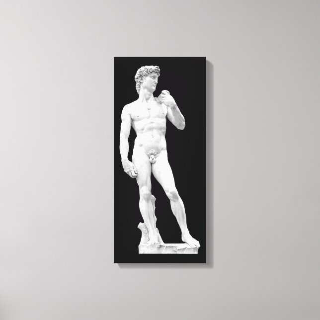 David par Michelangelo Toile enveloppée (Recto)