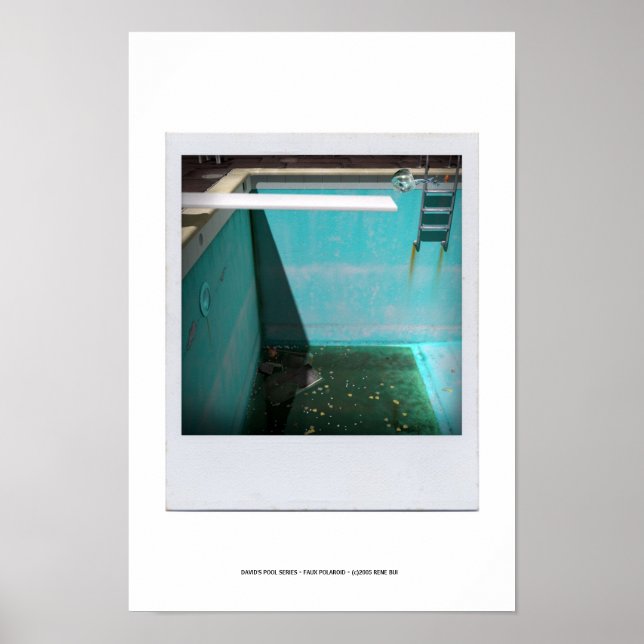 DAVID'S POOL SERIES p09g Poster (Devant)