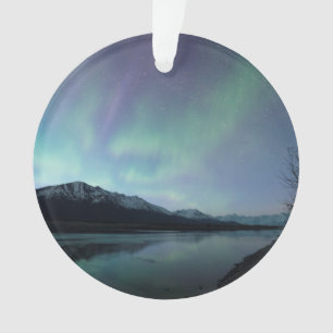 Dawn Aurora