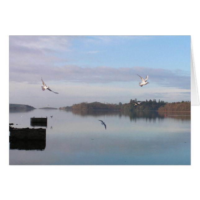 DAYBREAK, BAIE DE DONEGAL (Devant Horizontal)