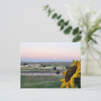 Daydream at Dusk Sunflower Prarie Carte postale