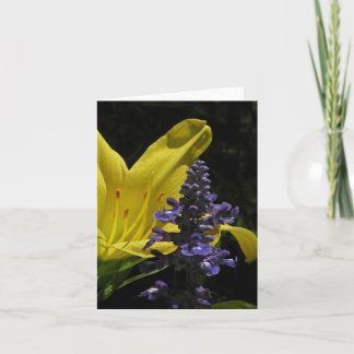 Daylily vif et carte de note florale de Salvia