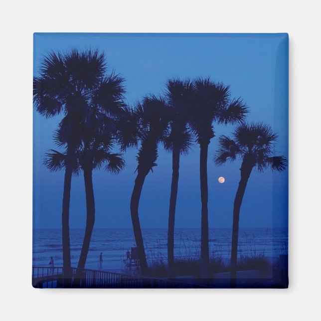 Daytona Beach FL Tropical Palm Tree Moon Magnets (Devant)
