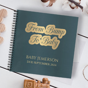 De Bump à Baby Keepsaké Journal de grossesse