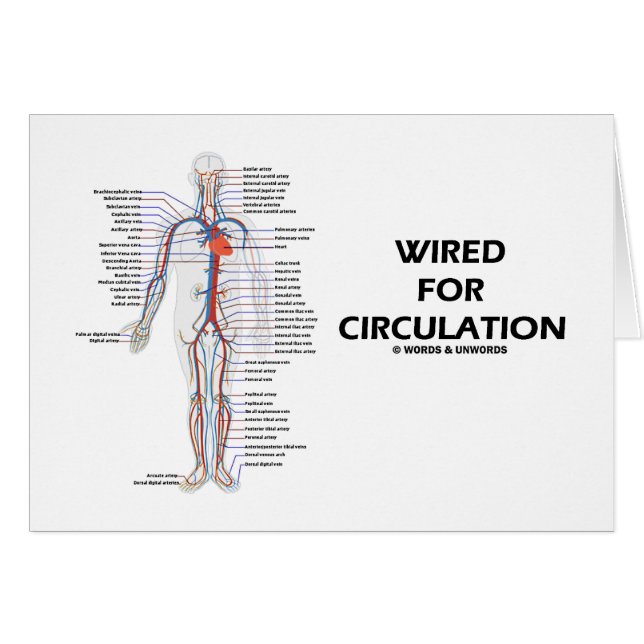 De câble pour la circulation (appareil (Devant horizontal)