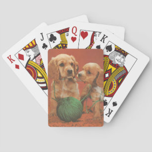 De Cartes Fils et affection, Cocker Spaniels en jeu
