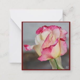 De Correspondance Belle carte Rose