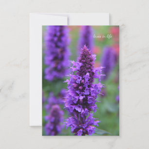 De Correspondance Carte Anise Hyssop Note