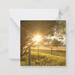 De Correspondance Carte blanche Sunlight du soir