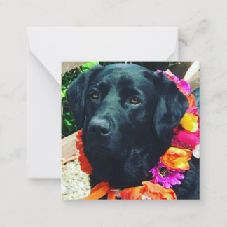 De Correspondance Carte Fia Flower Dog avec collier floral