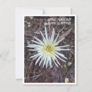 De Correspondance Carte Flat Note avec beauté nature
