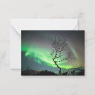De Correspondance Carte Northern Lights Tree