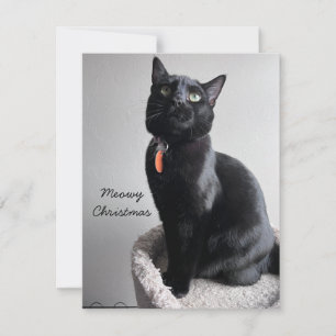 De Correspondance Carte vacances Cat