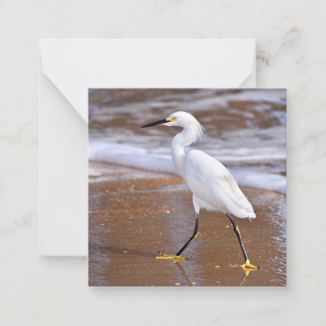 De Correspondance Egret at the Beach mini carte pour notes set (Devant)