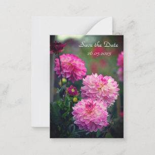 De Correspondance Fleur Dahlia rose et blanc Enregistrer la carte Da