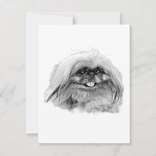De Correspondance Papeterie Pekingese - carte blanche "JenaSota"