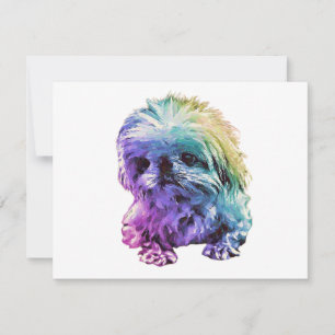 De Correspondance Papeterie Pekingese - carte blanche "Marcus"