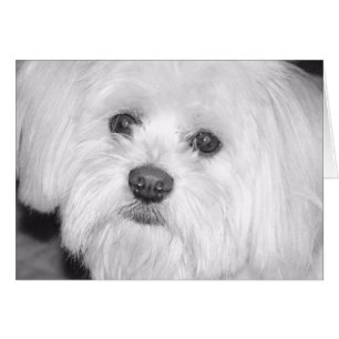 de façon précieuse