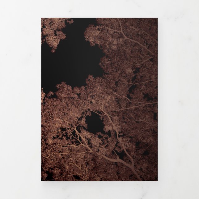 De Fin D'année Trois Volets Carte des arbres 5 (Page de couverture)
