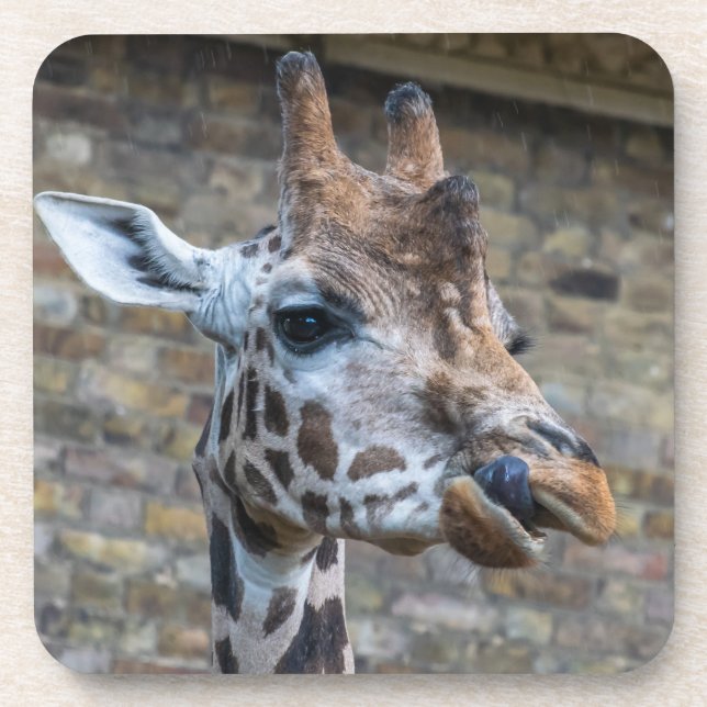 De girafe dessous de verre étroits (Devant)