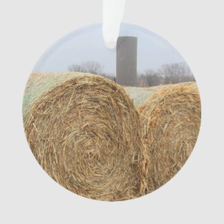 De grandes balles de foin rond dans un champ agric
