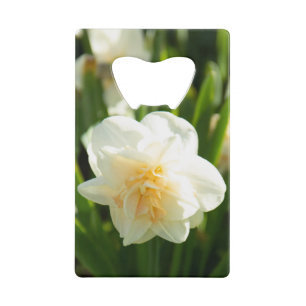 De grands jonquilles blanches par un jour de print