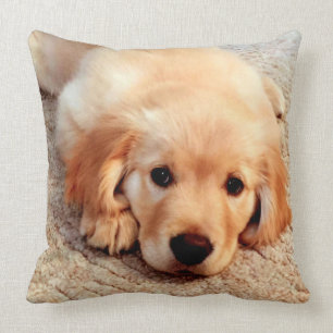De Henry du monde coussin de golden retriever