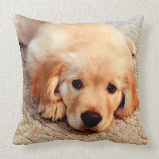 De Henry du monde coussin de golden retriever