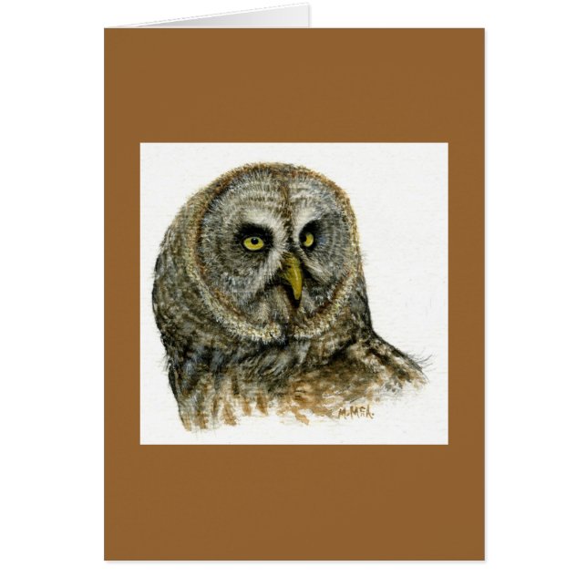 De "hibou grand gris " (Devant)