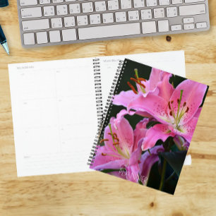 De jolies fleurs de lys rose