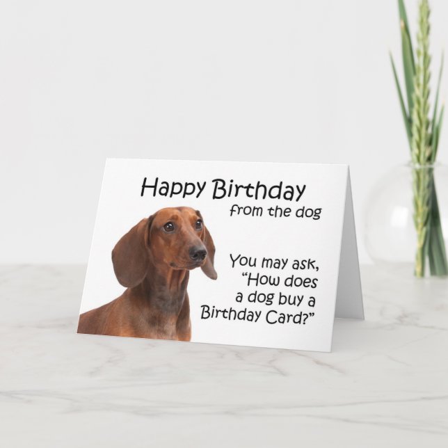 De la carte d'anniversaire du teckel (Devant)