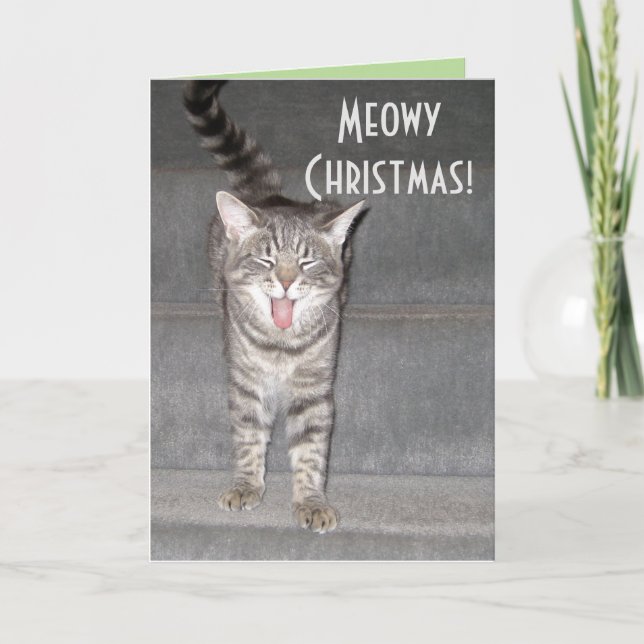 De la carte de Noël du chat (Devant)