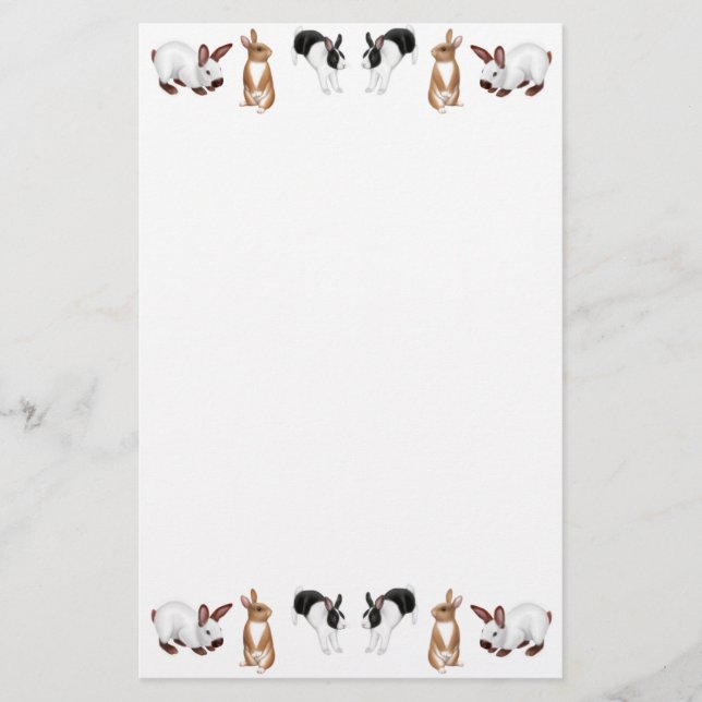 De lapins papeterie en abondance (Devant)
