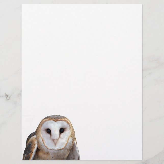 De Lettre Barn Owl Photo Note Papier en-tête (Devant)