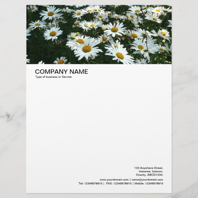 De Lettre Customisée En-tête grande image - Casta Daisies (Devant)