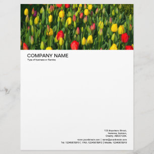 De Lettre Customisée En-tête grande image - Tulipes colorées