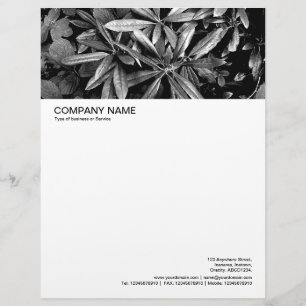 De Lettre Personnalisée En-tête grande image - Feuilles Rhododendron