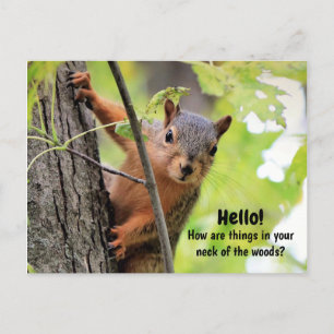 De Mon Cou des Bois à Votre Carte Postale