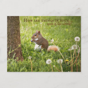 De Mon Cou des Bois à Votre Carte Postale