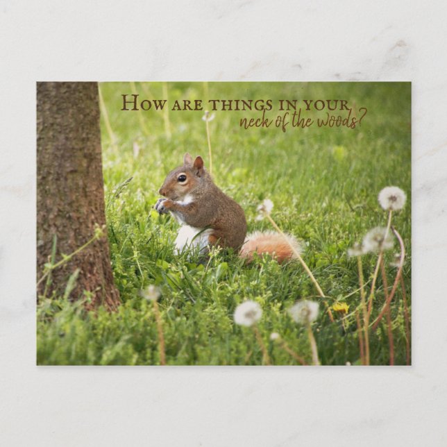 De mon cou des bois à votre carte postale (Devant)