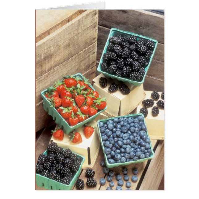 De nombreuses baies (Devant)