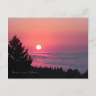 De nouveau en paix.... carte postale