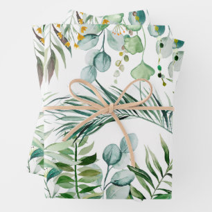 De Papier Cadeau Aquarelle Eucalyptus Feuille Motif botanique