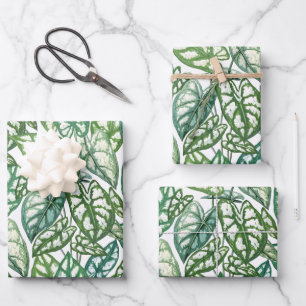 De Papier Cadeau Motif Feuille vert tropical