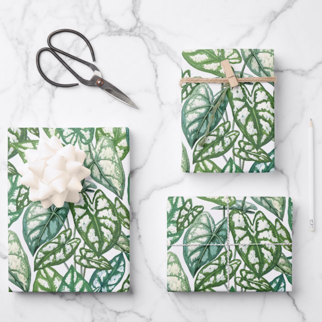 De Papier Cadeau Motif Feuille vert tropical (Recto)