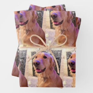 De Papier Cadeau Nova the Golden Retriever - Envelopper des feuille