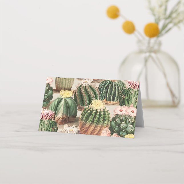 De Placement Carte d'emplacement d'illustration Cactus (Devant)