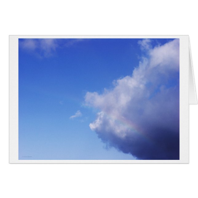 de porcs et arcs-en-ciel (Devant horizontal)