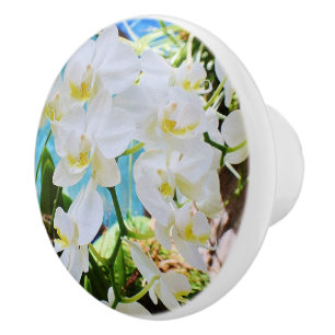 De Porte En Céramique Bouton d'orchidée