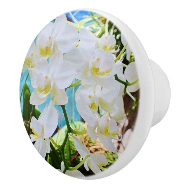 De Porte En Céramique Bouton d'orchidée (Droite)